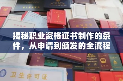 大寮揭秘职业资格证书制作的条件，从申请到颁发的全流程解析