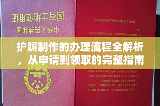 大寮护照制作的办理流程全解析，从申请到领取的完整指南