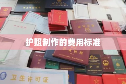 大寮护照制作的费用标准