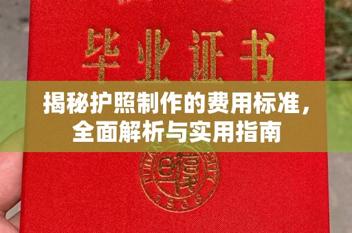 大寮揭秘护照制作的费用标准，全面解析与实用指南