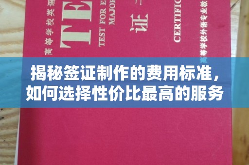 大寮揭秘签证制作的费用标准，如何选择性价比最高的服务？