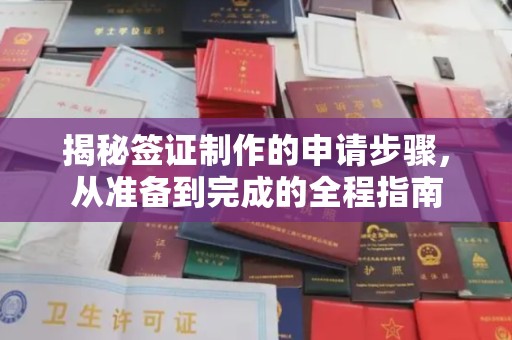 大寮揭秘签证制作的申请步骤，从准备到完成的全程指南