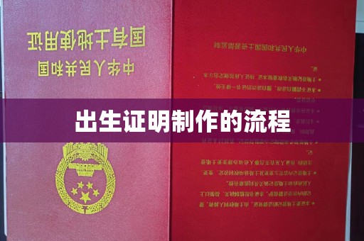 大寮出生证明制作的流程