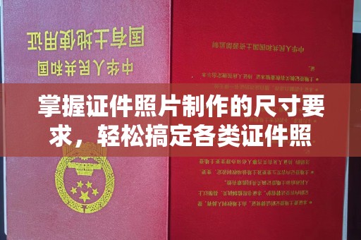 大寮掌握证件照片制作的尺寸要求，轻松搞定各类证件照
