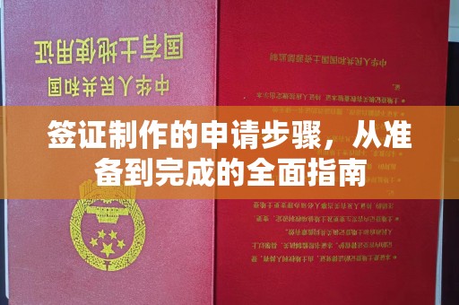 大寮签证制作的申请步骤，从准备到完成的全面指南