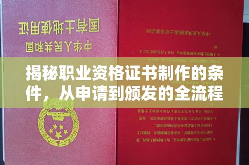 大寮揭秘职业资格证书制作的条件，从申请到颁发的全流程解析