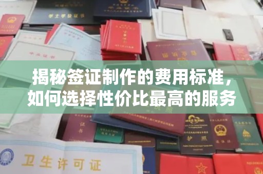 大寮揭秘签证制作的费用标准，如何选择性价比最高的服务？